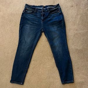 Judy Blue Skinny Jeans